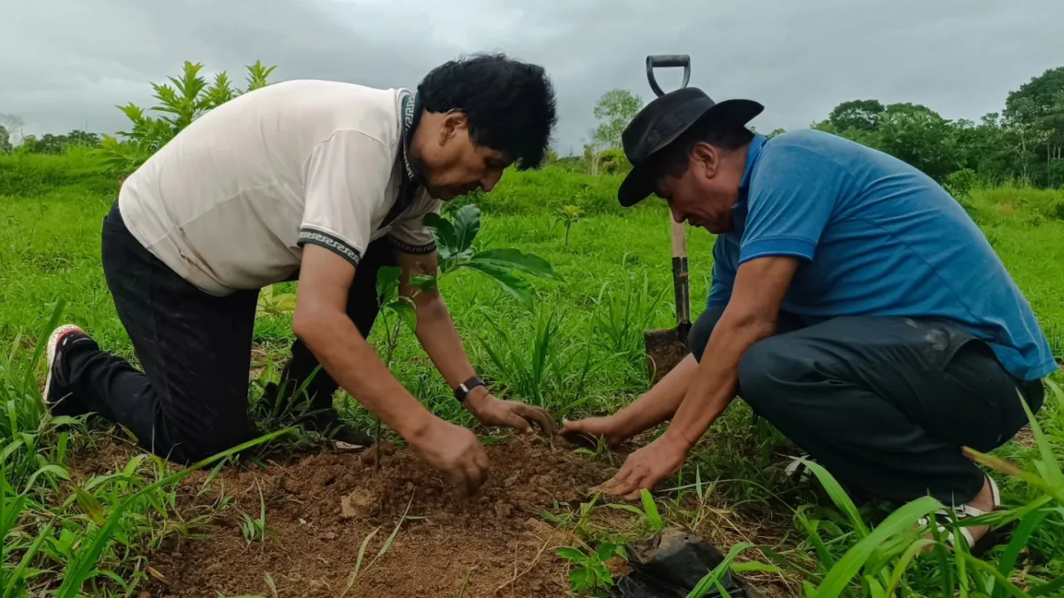 "'¡Estoy bien, compañeros!': Evo al 90%, listo para la resistencia"