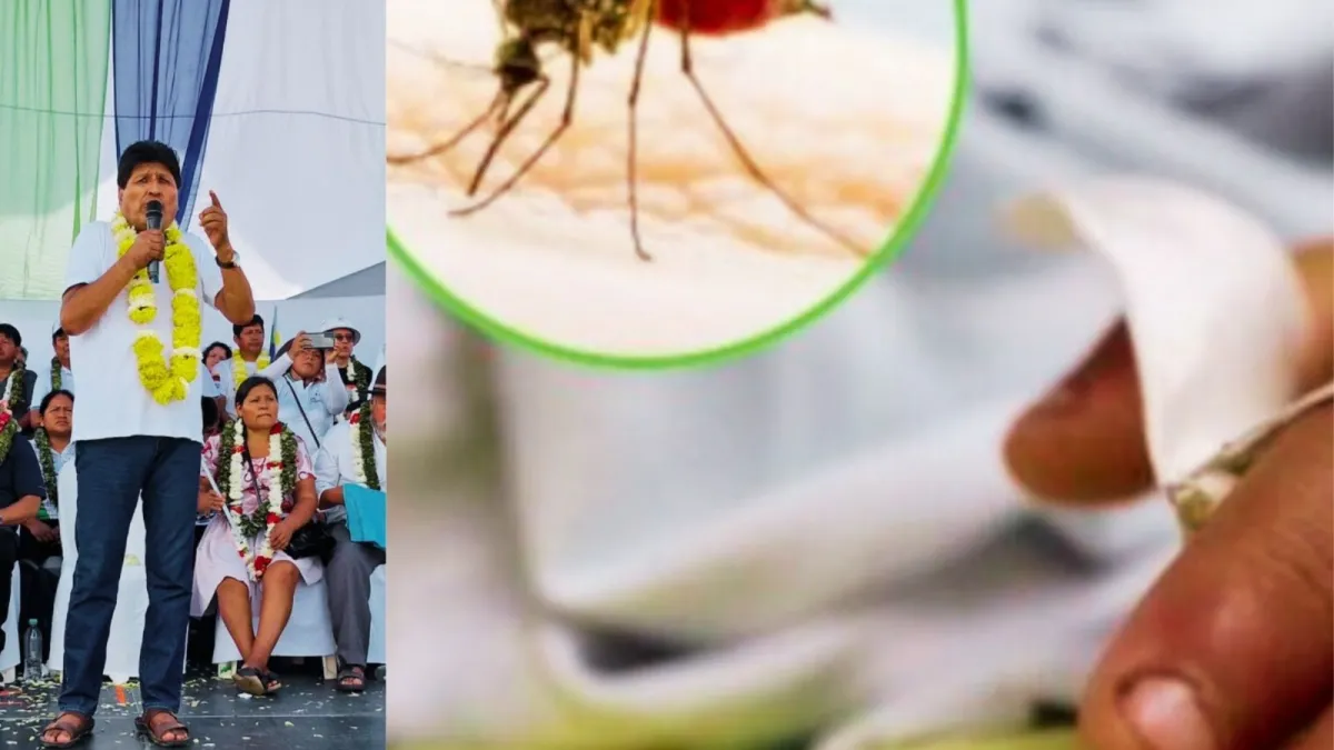 "¡Trópico! Evo denuncia: 'Jóvenes en sillas de rueda por dengue, sin Estado ni ítems'"