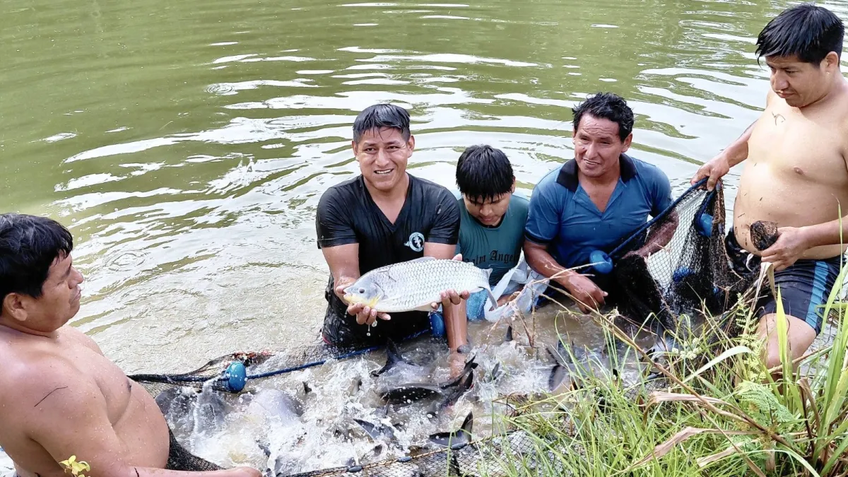 ¡Abundancia piscícola! 40 toneladas de Shinahota para tu mesa de Semana Santa